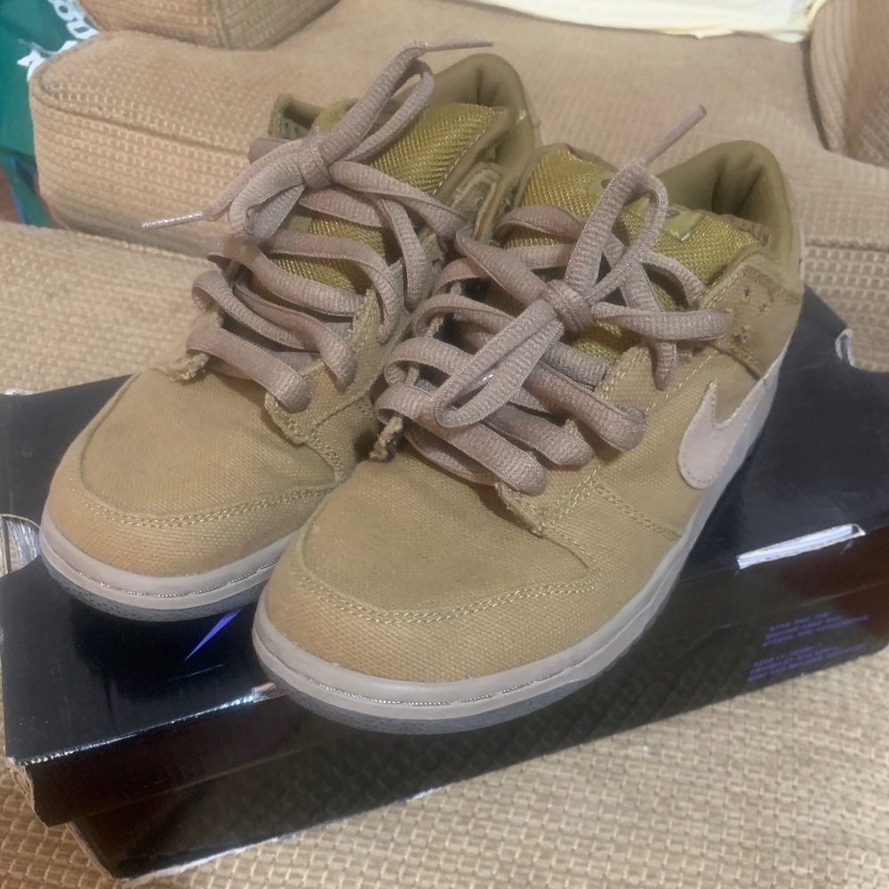 Nike dunks sb